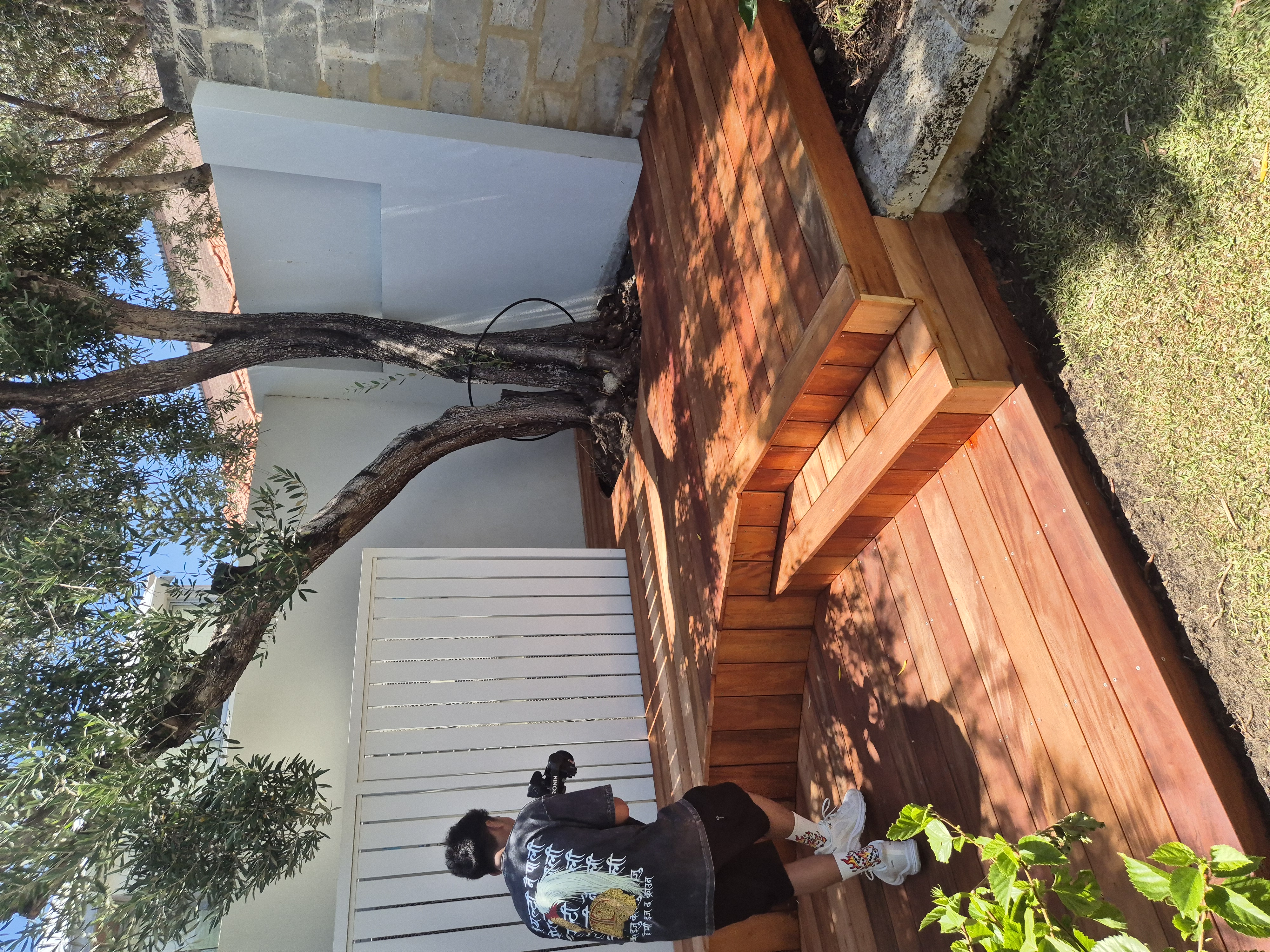 Cottesloe courtyard around an olive tree